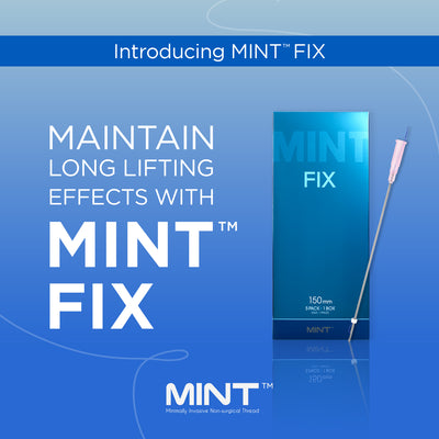 MINT FIX