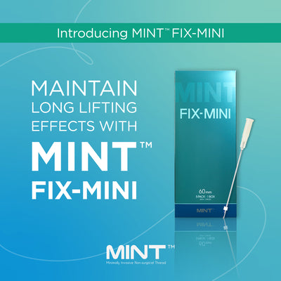MINT FIX - MINI