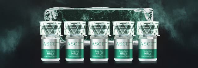 ASCE +
