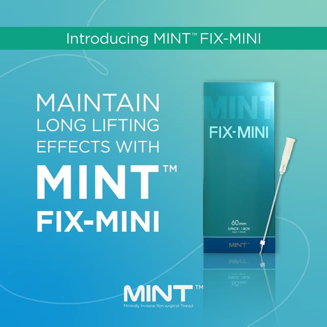 MINT FIX- MINI